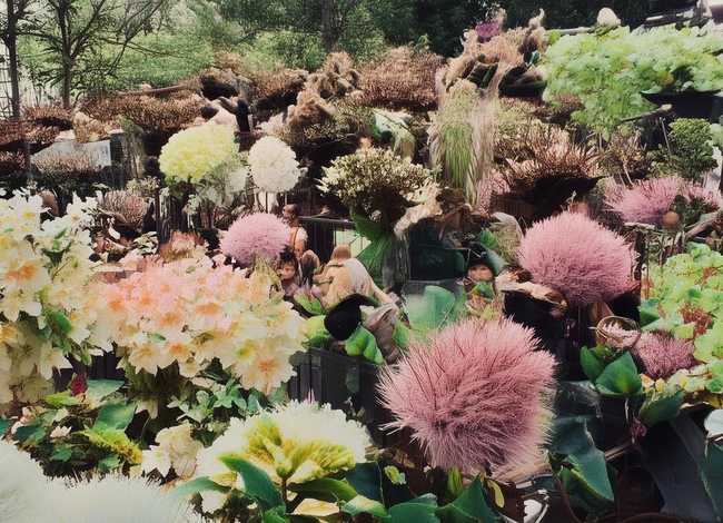 古代儿童聪慧机敏的故事 写古代儿童聪慧机敏的故事50字