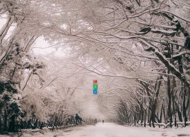 儿童英语小故事全集；小儿英语故事大全100首