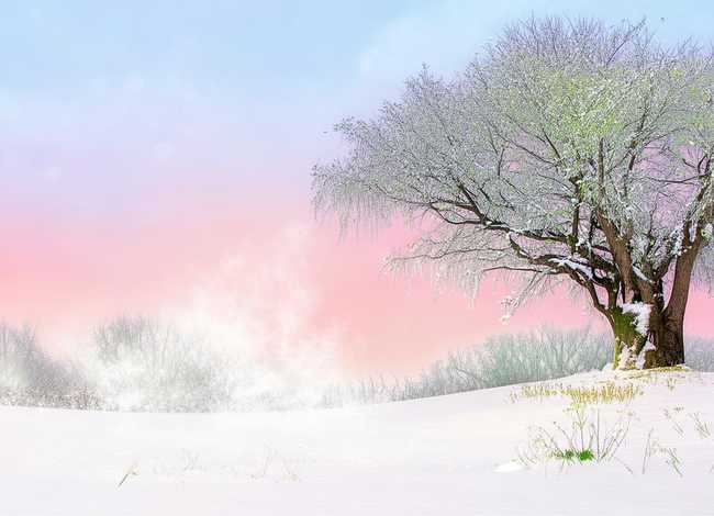 冬天来了故事大全 冬天来了故事也该翻篇了