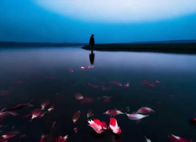 彼岸花的感人故事，彼岸花的感人故事简短