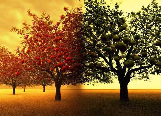 矛盾的事例；矛盾的事例和现象