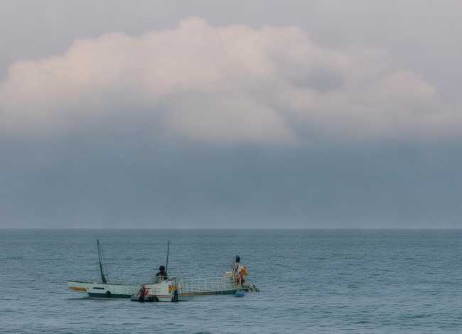 儿童故事小蝌蚪找妈妈简笔画绘本完整可以打印、小蝌蚪找妈妈故事绘本完整图片 简笔画