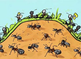 蚂蚁的故事绘本图片、蚂蚁的故事绘本图片简单