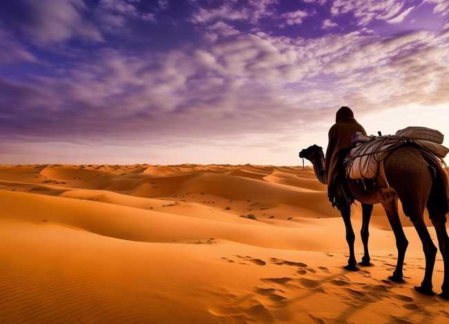 撒哈拉的故事 简书 撒哈拉的故事 简书介绍 撒哈拉的故事 简书 撒哈拉的故事 简书介绍