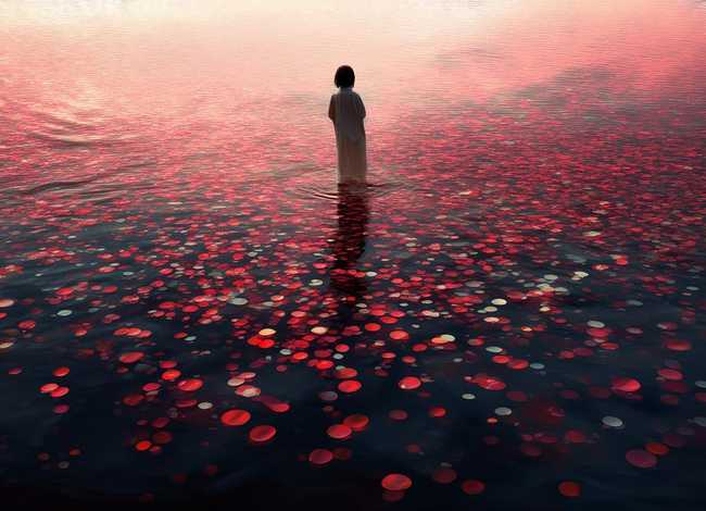 彼岸花的感人故事，彼岸花的感人故事简短