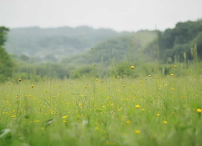 儿童故事《小蜗牛》；小蜗牛幼儿故事