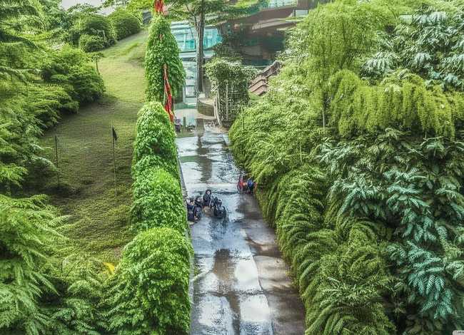 凿壁偷光的故事100字;凿壁偷光的故事100字左右四年级 凿壁偷光的故事100字;凿壁偷光的故事100字左右四年级