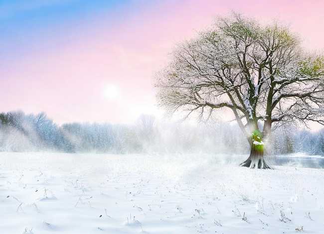 冬天来了故事大全 冬天来了故事也该翻篇了