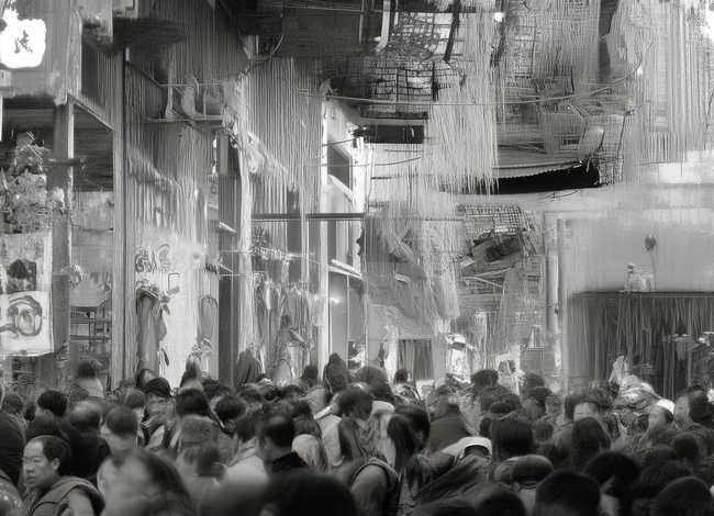 儿童长篇动物故事；长篇动物故事大全