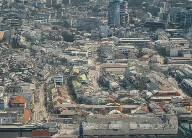 关于多肉的小故事 关于多肉的小故事50字