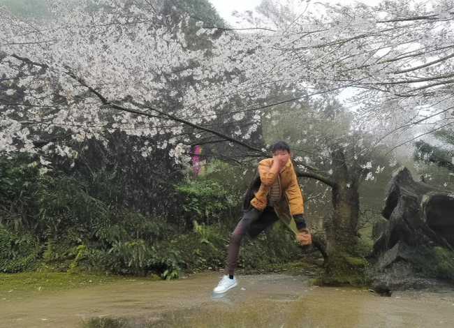 儿童故事书打印带图（儿童绘本故事带图片打印）