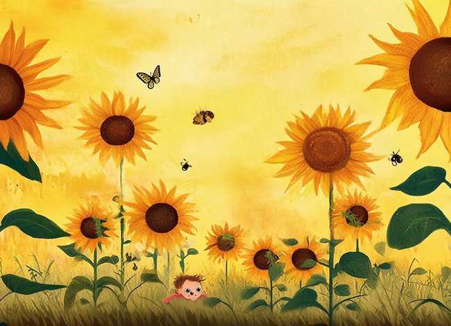 向日葵的故事绘本图片完整；向日葵的故事绘本图片完整版