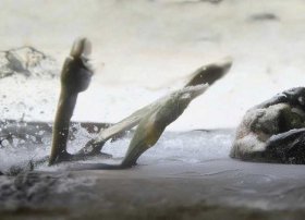 雨后故事高清欧美 雨后故事高清欧美电影