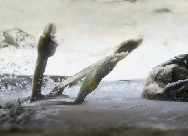 雨后故事高清欧美 雨后故事高清欧美电影