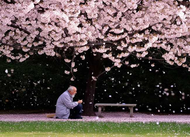 诗人的故事100字、诗人的故事100字怎么写