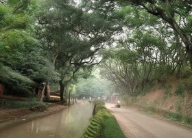 貂蝉的故事200字 - 貂蝉的故事200字简介