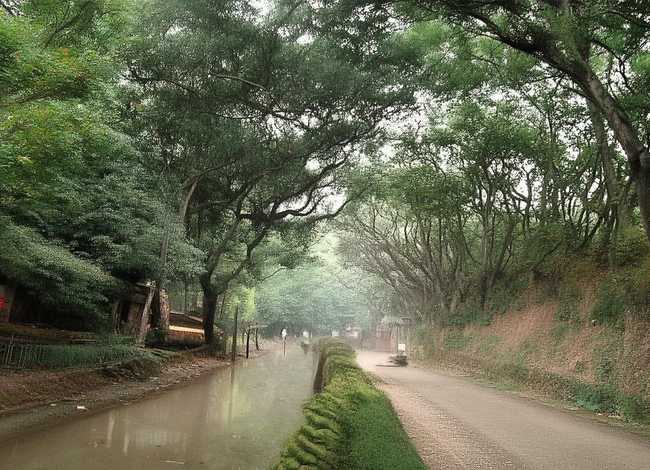 貂蝉的故事200字 - 貂蝉的故事200字简介