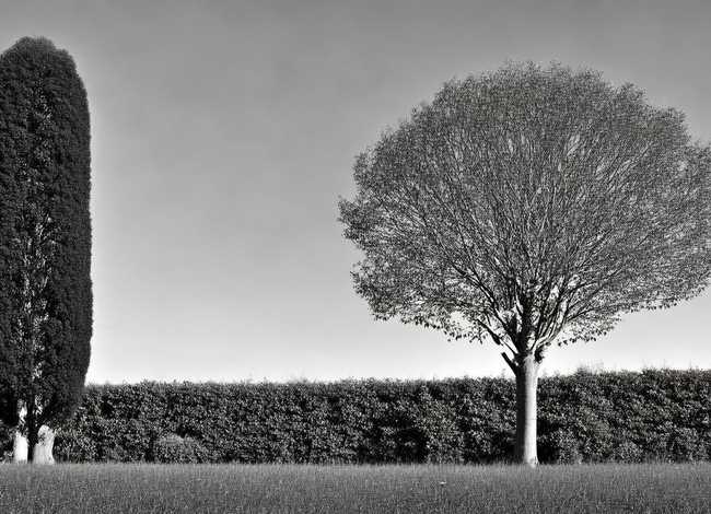 取长补短的例子50字 取长补短的例子100字