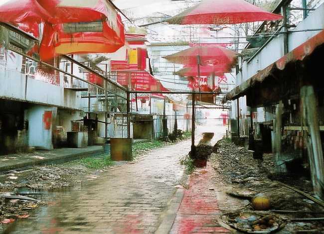 儿童故事30字以内大灰狼，幼儿故事大灰狼的故事文字