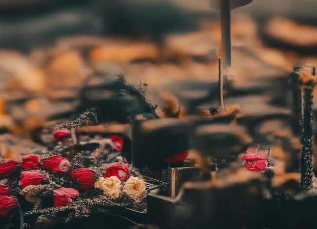 200字左右的因家庭收入低或因家庭成员身体健康等造成经济困难的情况说明，200字的家庭困难情况说明