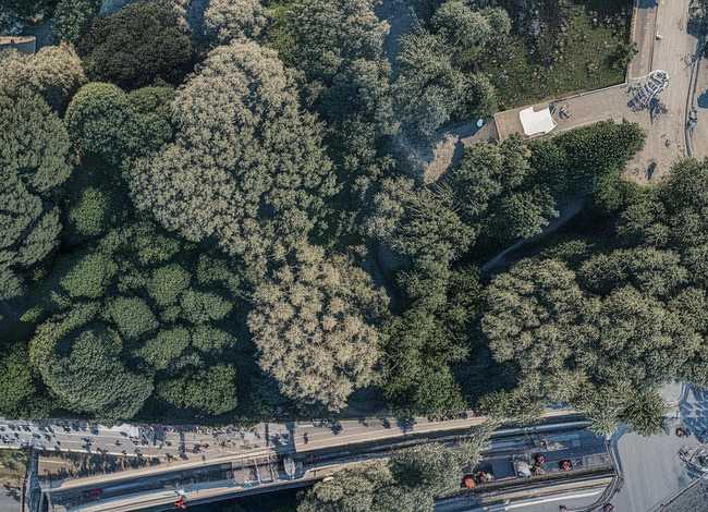 乌鸦与狐狸的故事 - 乌鸦与狐狸的故事续写300字