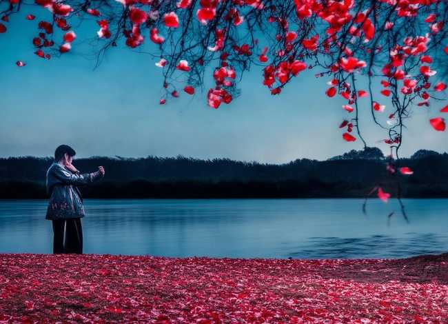 彼岸花的感人故事，彼岸花的感人故事简短