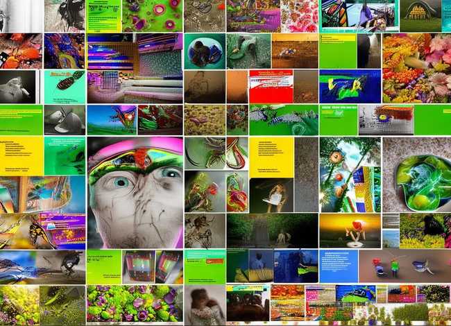 小学生科学摄影作品 - 小学生科学摄影作品展示