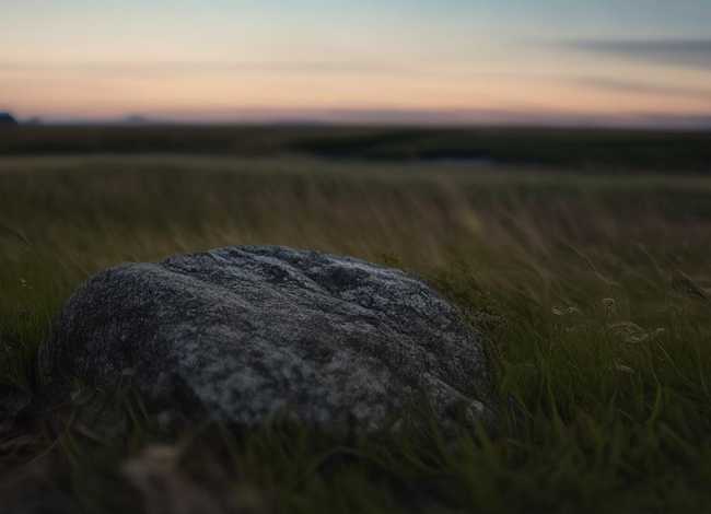 诗人的故事简短 诗人的故事简短一点