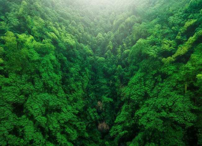 孔雀公主视频故事、孔雀公主视频故事在线观看