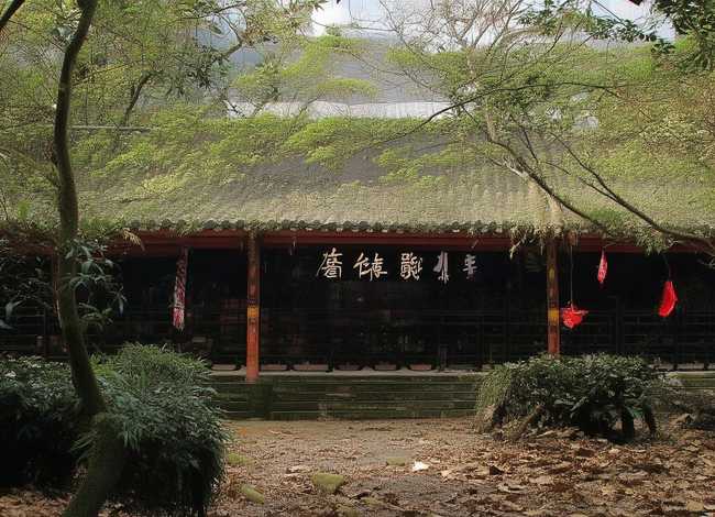 守株待兔的故事100字 守株待兔的故事100字以内