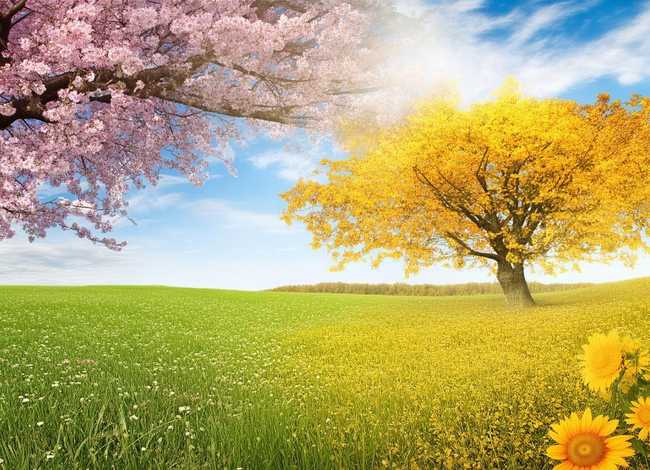 春夏秋冬四季故事 - 春夏秋冬四季故事简短 春夏秋冬四季故事 - 春夏秋冬四季故事简短