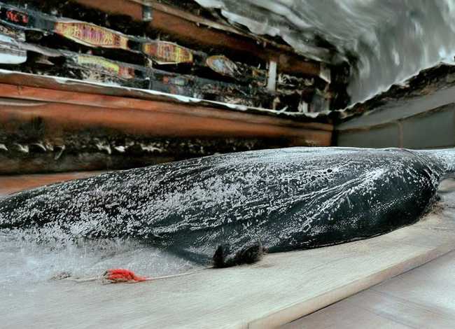 西门豹的故事50字 西门豹的故事50字简短