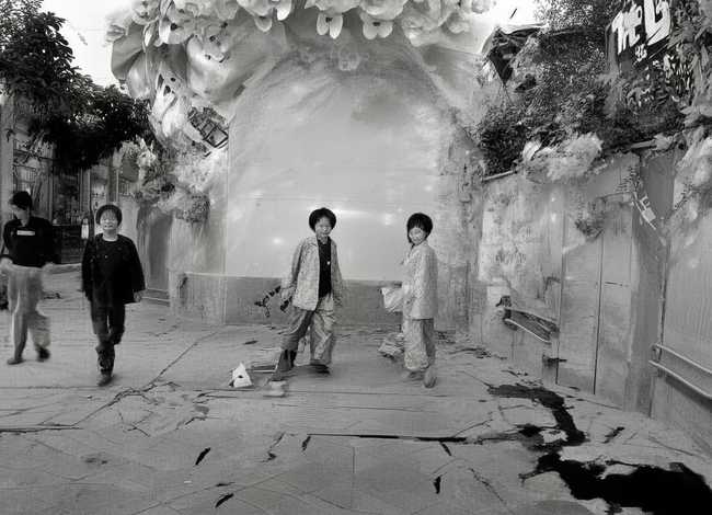 板栗的历史故事、板栗的历史故事有哪些