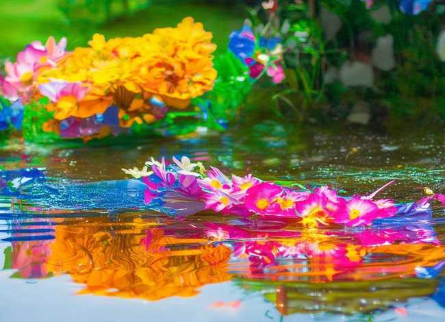 夏天绘本怎么画，夏天的绘本怎么画