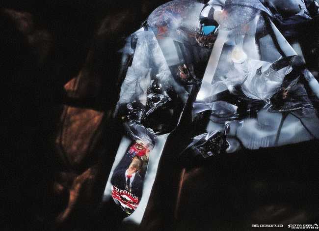 白狐故事简介（白狐故事简介内容）