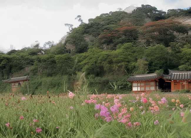 太阳的故事简短100字（太阳的故事简短100字左右）