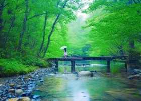 雨后故事动态38张无删减原版视频，雨后故事动态38张无删减原版视频下载