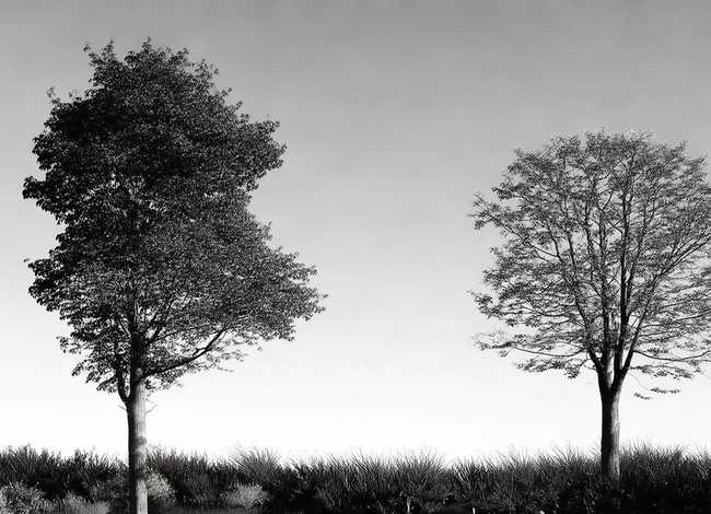 取长补短的例子50字 取长补短的例子100字