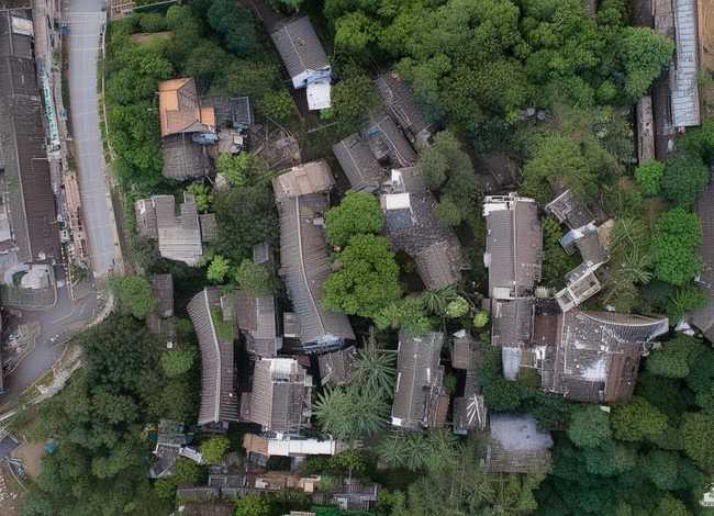 绿野仙踪故事表演，绿野仙踪故事剧本