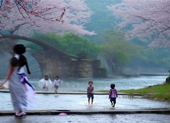 春雨有关的故事;春雨有关的故事有哪些 春雨有关的故事;春雨有关的故事有哪些