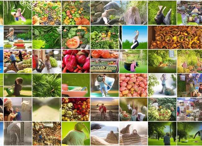 健康观念100个小故事，健康观念100个小故事视频