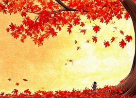 枫叶故事绘本 枫叶故事绘本图片