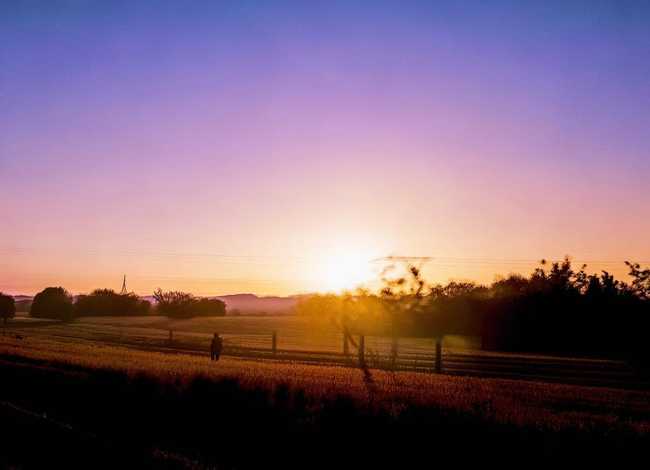 播放稻草人故事 播放稻草人故事视频 播放稻草人故事 播放稻草人故事视频