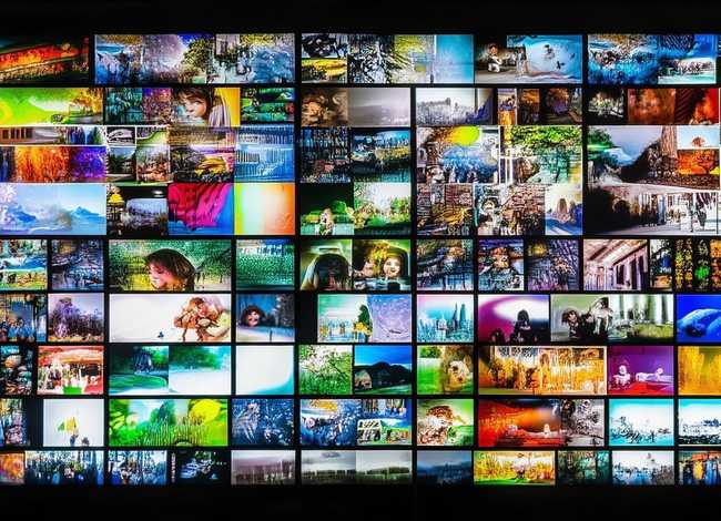 老板的故事小视频、老板的故事小视频大全