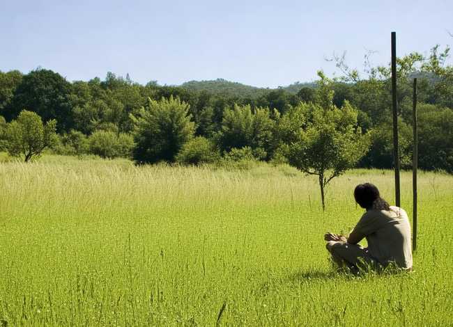 守株待兔的图片（守株待兔的图片简单又漂亮）