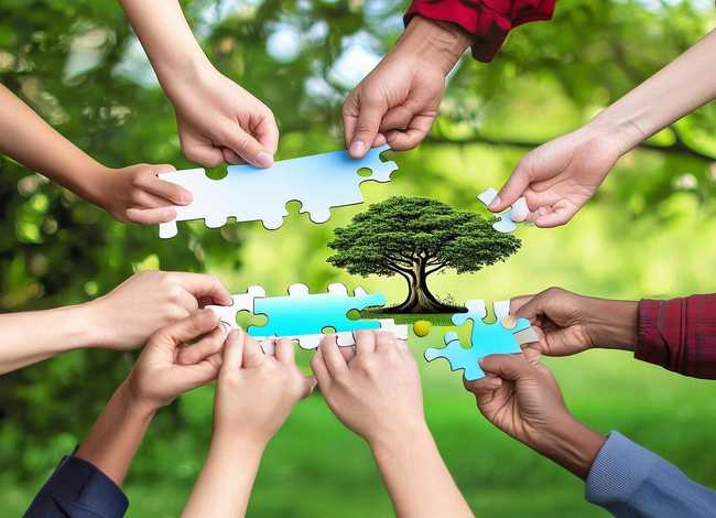 团队精神小故事及道理，团队精神小故事及道理简短