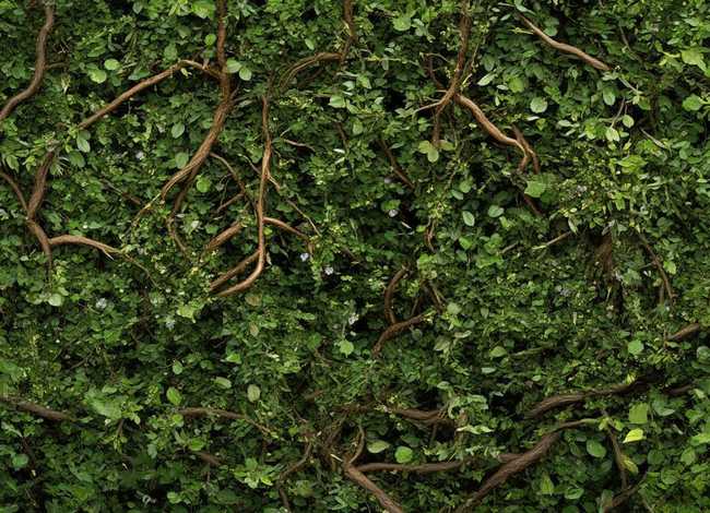 故事的花纹是什么意思 - 故事的花纹是什么意思呀