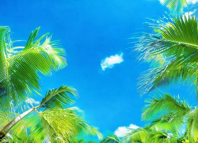 绘本夏天图片 夏天绘本图片大全