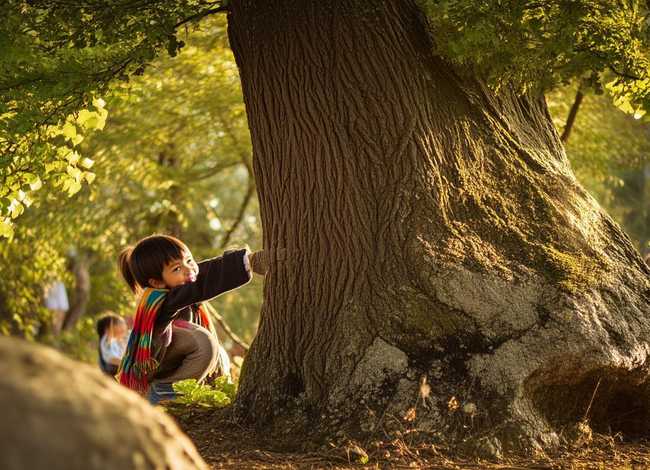 捉迷藏故事集(捉迷藏故事集马赛尔) 捉迷藏故事集(捉迷藏故事集马赛尔)
