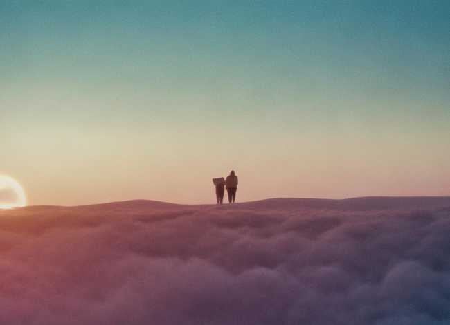 关于马的成语故事简写；关于马的成语故事简写50字